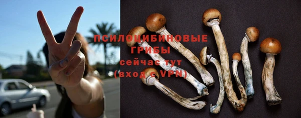 метадон Алексеевка