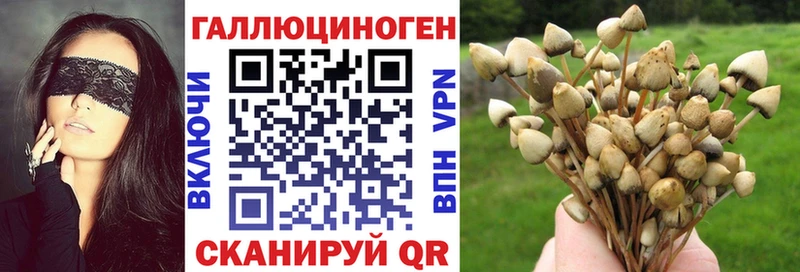 ОМГ ОМГ ССЫЛКА Талдом Псилоцибиновые грибы мухоморы